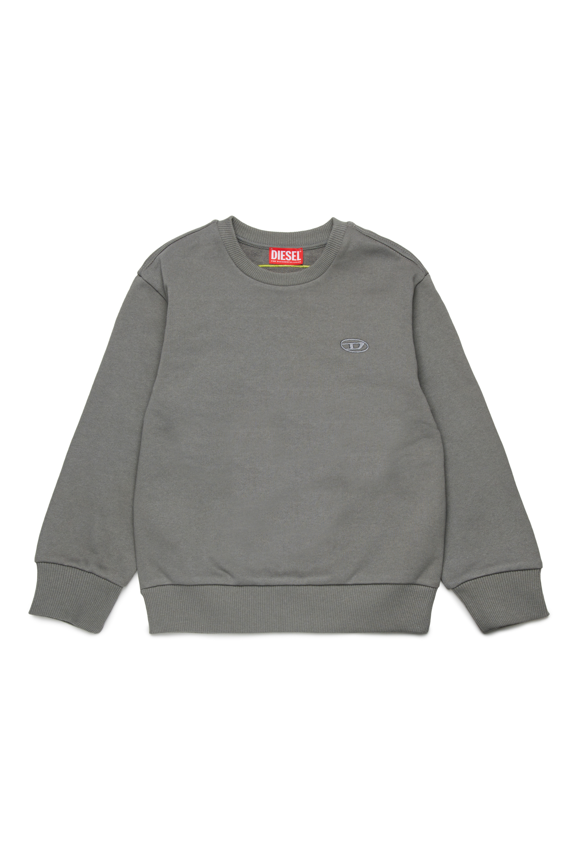 Diesel - SROBMEGOVALD OVER, Sweat-shirt avec mega broderie Oval D Homme in Gris - 1